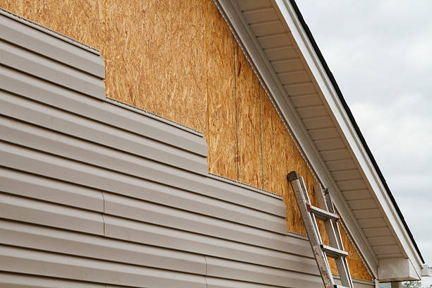 Best Custom Siding Design  in Ansonia, OH